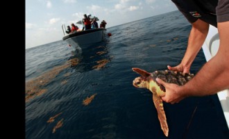 Oil spill victims wait as BP compensation delayed