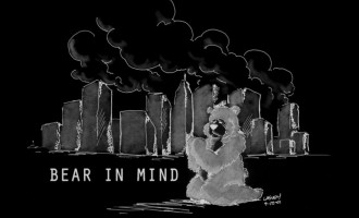 Video: Bear in Mind
