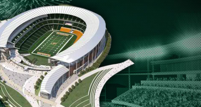 New stadium will not disrupt bird habitat