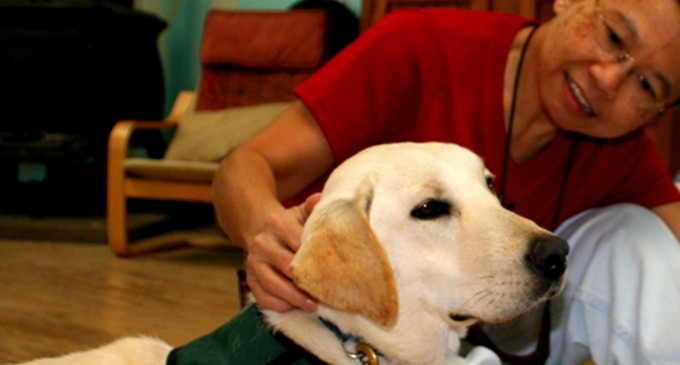 Students, alumni pitch in for man’s best friend