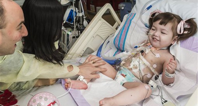 Toddler is youngest ever to receive lab-made windpipe