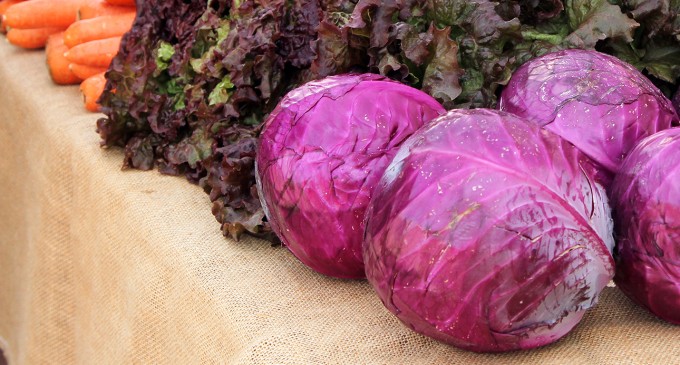 Farmers market brings a bit of freshness to campus