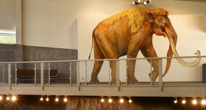 Shutdown may affect mammoth site status