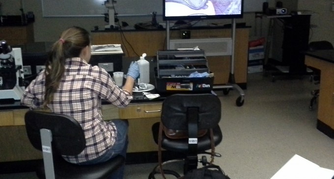 The Art of Science: Students look through microscopes to find inspiration