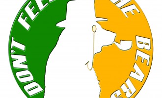 Don’t Feed the Bears – High Expectations for Baylor, USA Soccer Don’t Feed the Bears – High Expectations for Baylor, USA Soccer