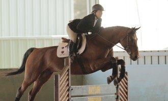 Equestrian falls to KSU, OSU