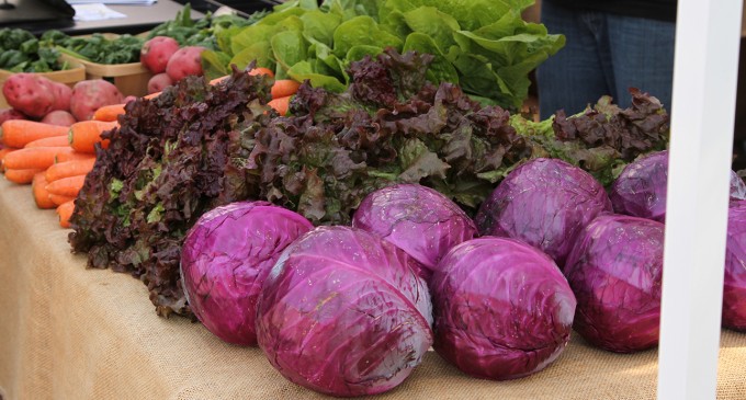 Farmers market event squashed without proper health permits
