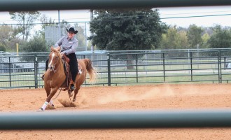 No. 1 equestrian stays unbeaten