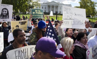 Potential executive order on immigration may affect millions