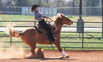 Baylor equestrian stays perfect, tops No. 6 Texas A&M 11-8