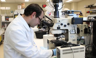 Professor searches to discover link between seizures, autism