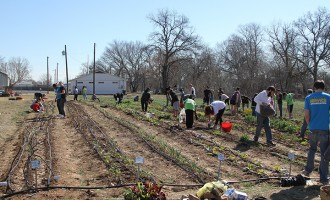 Campus Kitchen Project receives grant to help support hunger relief initiative