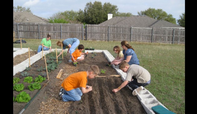 Community blossoms with nonprofit garden