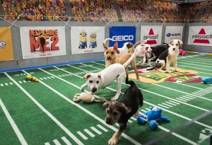 This undated publicity photo provided by Animal Planet shows dogs playing on the field during "Puppy Bowl IX," in New York. The “Puppy Bowl,” an annual two-hour TV special that mimics a football game with canine players, made its debut eight years ago on The Animal Planet. Dogs score touchdowns on a 10-by-19-foot gridiron carpet when they cross the goal line with a toy.  Associated Press