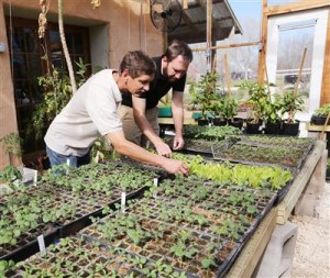 Neil Miller (left) and Matt Hess (right) look over some of the spring crops in the new green house at the World Hunger Relief Inc. Hess was recently appointed executive director of the nonprofit, while Miller is stepping down from that role into a new position working with interns and international training efforts. (Waco Tribune-Herald via Associated Press)