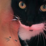 Karisa Garner Cat Tattoo Redo