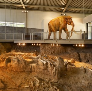 The Waco Mammoth site is currently in the process of applying for national monument status. Similar legislation was put in the works last year, but died in the U.S. Senate last year. Lariat File Photo