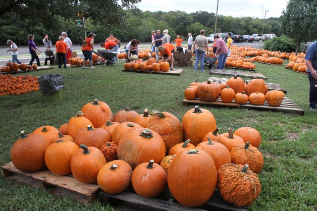 Pumpkin-flavored everything  represents autumn season
