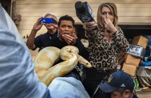 While interviewing  Sondra Berg, Santa Ana Police Animal Services supervisor, television reporters Bobby DeCastro, from FOX11, and Wendy Burch, of KTLA 5 plug their noses to avoid the stench emanating from the house with of dead and decaying snakes in Santa Ana, Calif. Berg holds an albino ball python that was one of the surviving snakes in the home.   (AP Photo/The Orange C ounty Register, Bruce Chambers)   MAGS OUT; LOS ANGELES TIMES OUT