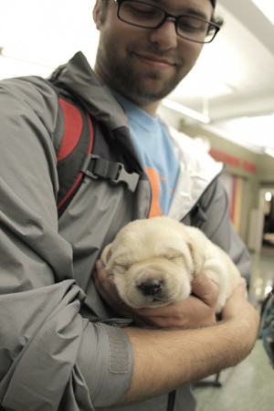 Puppies in the SUB on Thursday, March 27, 2014.