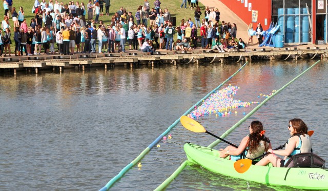 Delta Delta Delta hosts Duck Races at the Baylor Marina, where students can buy a ticket for a duck, and rubber ducks are raced to raise money for St. Jude Children's Research Hospital. Photo credit: Lariat file photo