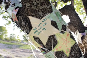 Stars adorn a tree near the former site of the West Rest Haven nursing, which was damaged by the West fertilizer plant explosion and later demolished. West is remembering the one year anniversary of the disaster on Thursday. Travis Taylor | Lariat Photo Editor