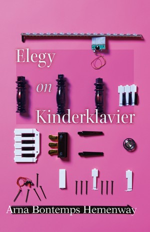 Hemenway’s “Elegy on Kinderklavier” is filled with short stories about the Iraq War and a novella about a terminally ill boy.