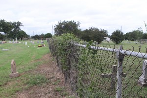 The chain link fence segregrates the graves of black and white graves. The Waco community is making an effort to get it torn down.Carlye Thornton | Lariat Photo Editor