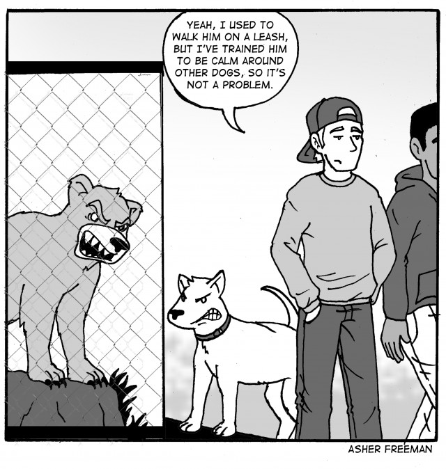 Editorial: Unchained: Don’t let your doggies wander