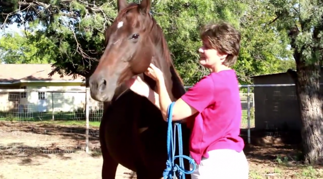 Gaitway to the good life