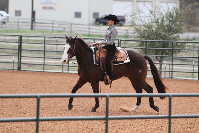 Baylor Equestrian team triumpths New Mexico State 13-3.  Hickery, Pa. sophomore Erika Rodenski rides Brownie in the Horsemanship competition.