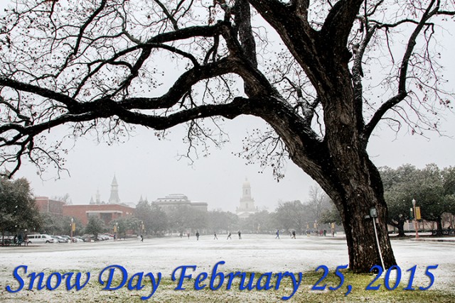 Slideshow: Snow Day
