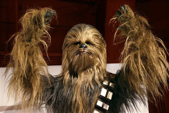 A yak hair and mohair costume of the Wookiee Chewbacca is displayed as part of an exhibit on the costumes of Star Wars at Seattle's EMP Museum.  Associated Press