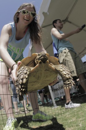 The exotic petting zoo, present at last year’s Diadeloso, will return for this year’s festivities.  File Photo