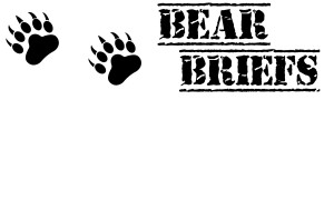 Bear Briefs BW