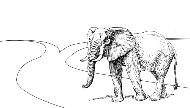 Where does the GOP go from here?