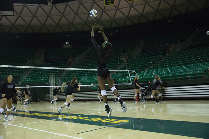 vball_LP-098FTW.jpg