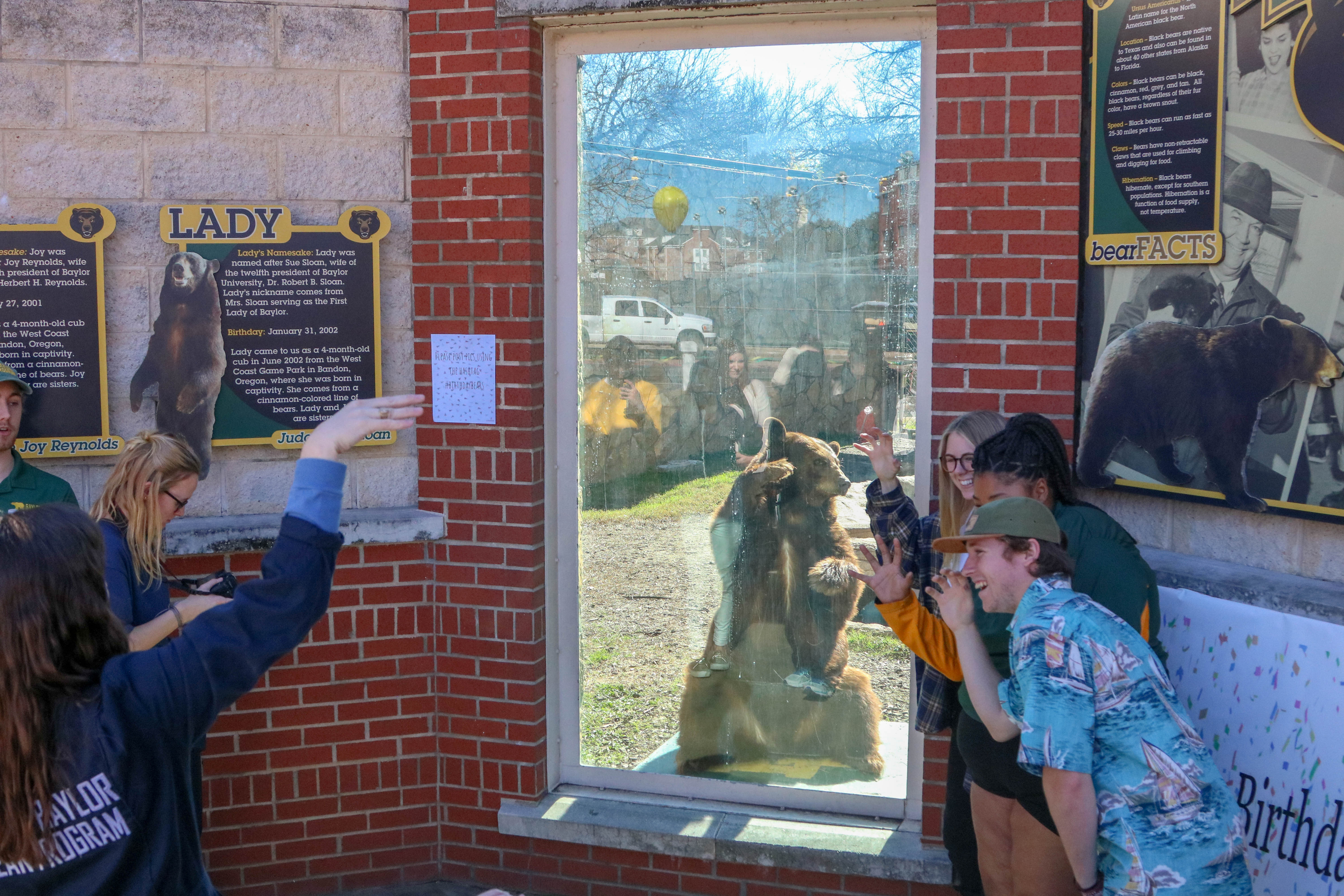 Baylor Bear Habitat