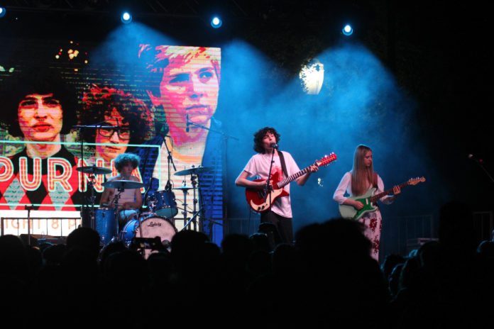 April 09, 20194-9 Calpurnia-78.jpg