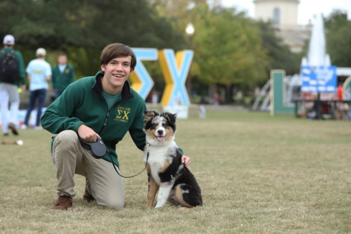 October 22, 2018-dogderby-lp-11.jpg