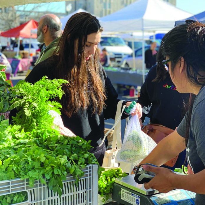 farmersmarket1 copy.jpg