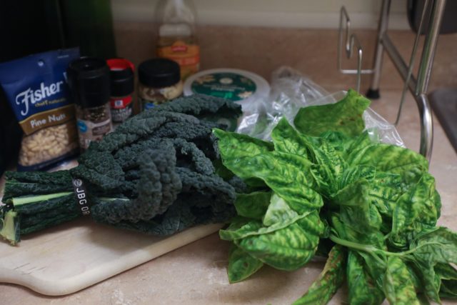 Ingredients for pesto: kale, basil, pine nuts, parmesan, garlic and salt/pepper