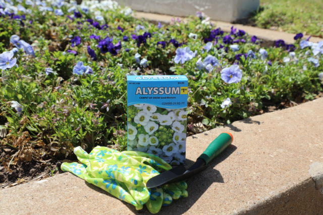 Students find respite in the outdoors during National Lawn and Garden Month