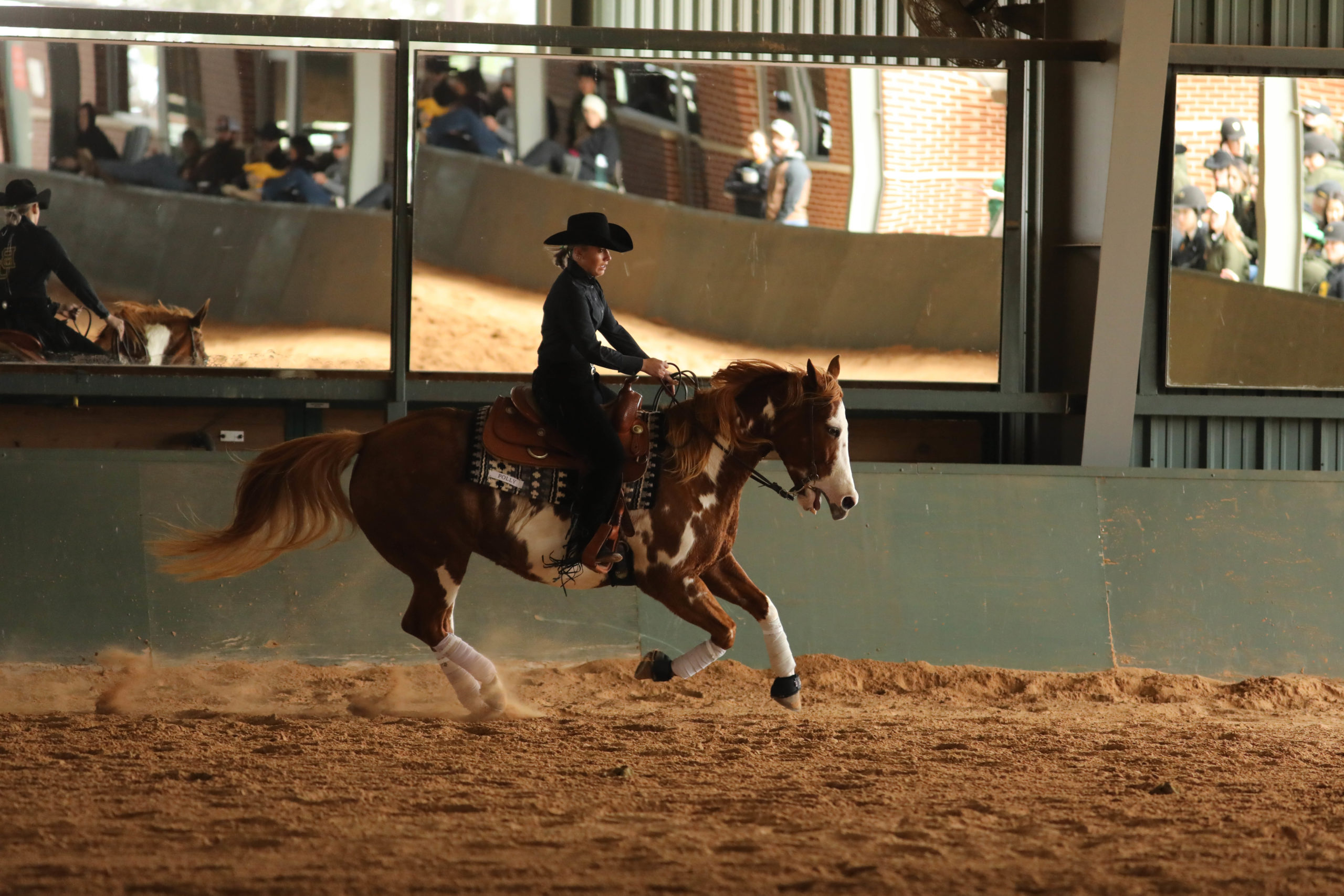 Baylor equestrian looks forward to new season - The Baylor Lariat