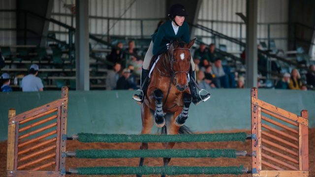Jumping seat junior Dominika Silvestri competes in Fences against Fresno State on Nov. 20 at the Willis Family Equestrian Center
Photo courtesy of Baylor Athletics