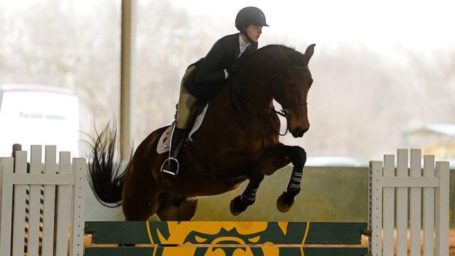 Jumping seat junior Dominika Silvestri set a career-high score of 88 in Fences against TCU Saturday at the Willis Family Equestrian Center. The score gave Baylor a point and earned Silvestri Most Outstanding Performance honors. Photo courtesy of Baylor Athletics