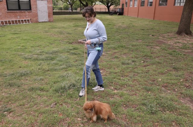 Assistant director of OALA explains difference between emotional support, service animals