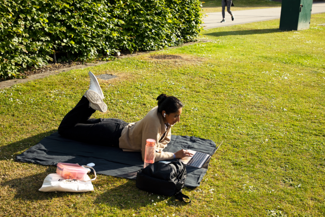 Study abroad student studies outside on a sunny day on UCD campus. Photo courtesy of Harper Leigh Roberts