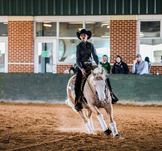 Fifth-year senior Western rider Madaline Callaway weaves her way around the arena during a conference contest against No. 7 Oklahoma State University on Saturday at the Willis Family Equestrian Center. Kenneth Prabhakar | Photo Editor