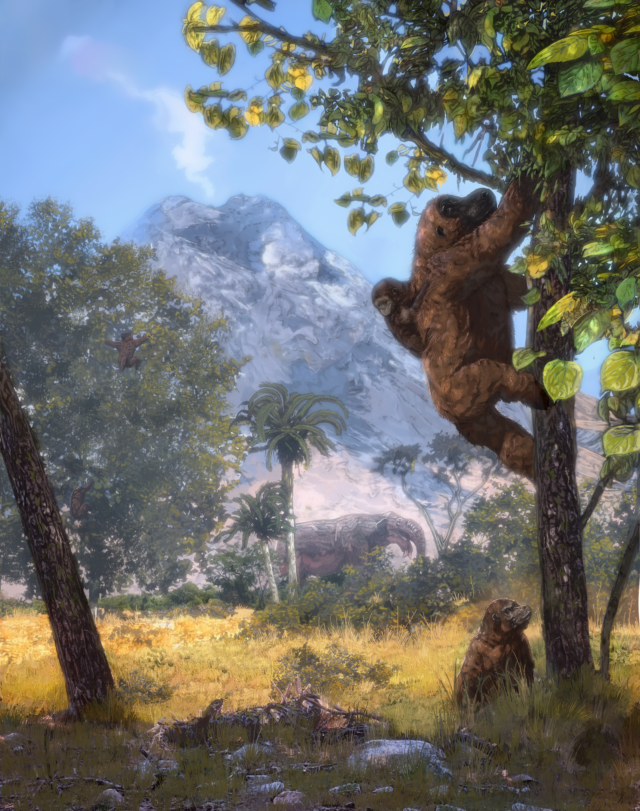 Morotopithecus reconstruction – Artistic rendering of the open woodland habitat reconstruction at Moroto II with Morotopithecus bishopi vertically climbing with infant on its back and a juvenile below. Active volcano (Mount Moroto) is in background. Fossil relative of an elephant (Prodeinotherium) is foraging in center back. Artist credit: Corbin Rainbolt